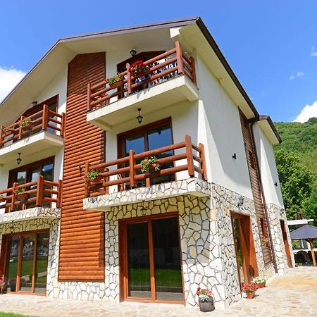 Villa 'Iva' Mavrovo Exterior foto