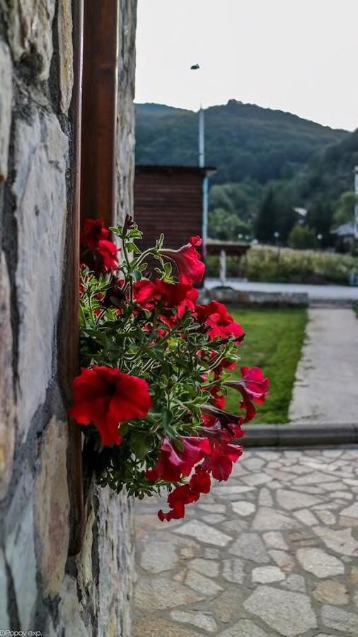 Villa 'Iva' Mavrovo Exterior foto